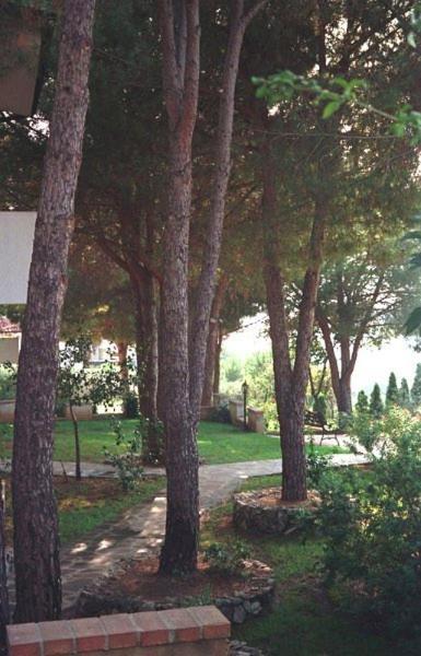 Villaggio Pineta Petto Bianco Capo Vaticano Exterior photo