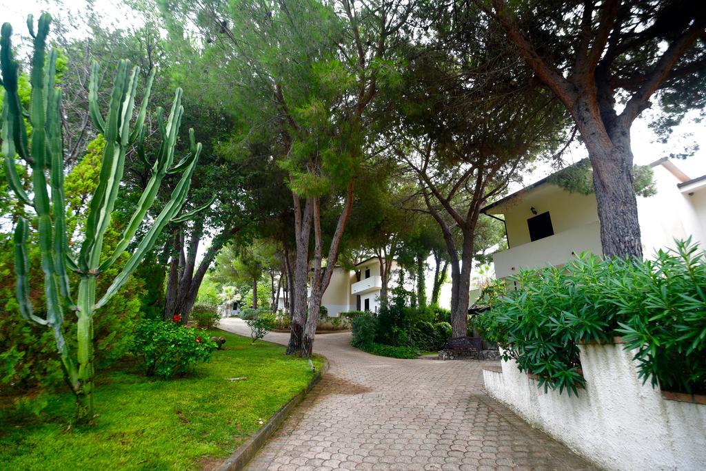 Villaggio Pineta Petto Bianco Capo Vaticano Exterior photo
