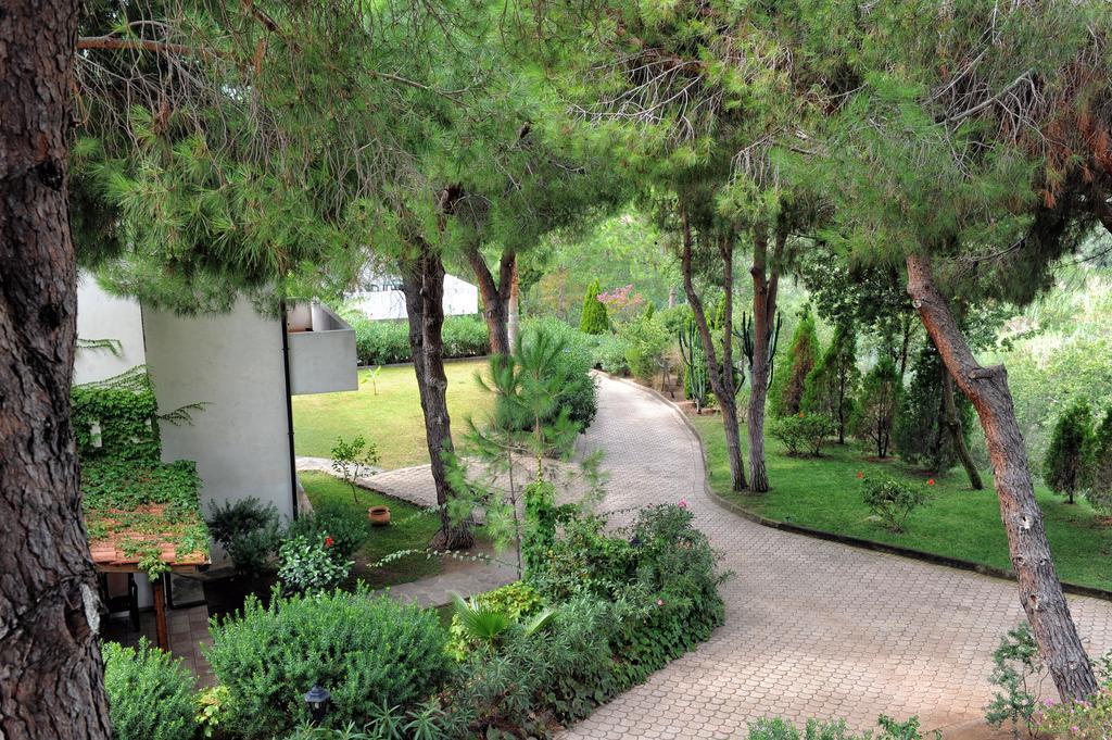 Villaggio Pineta Petto Bianco Capo Vaticano Exterior photo